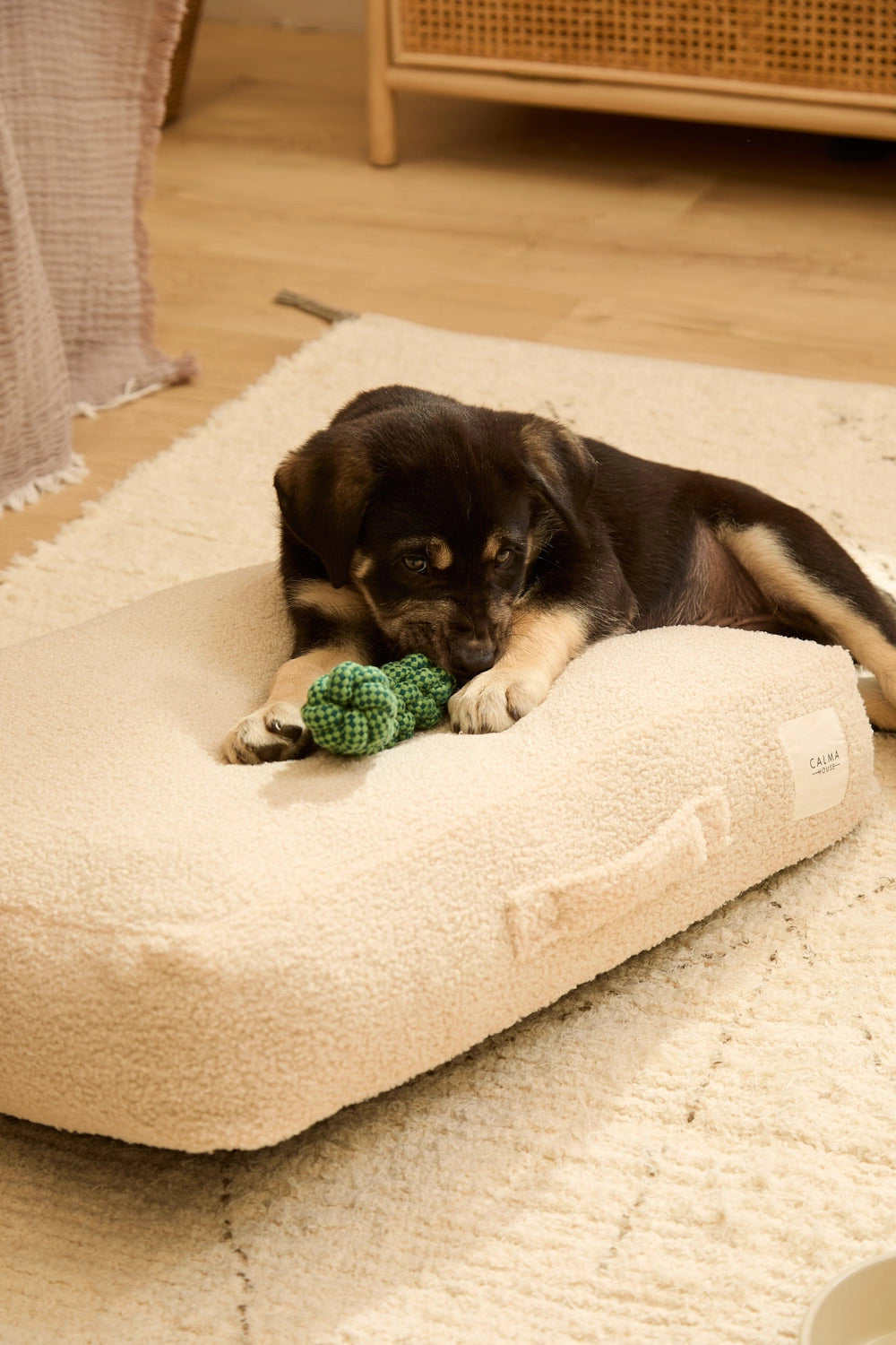 Cama para perro pequeño desenfundable crudo