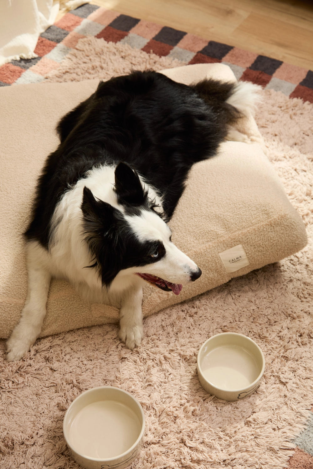 Cama para perro grande desenfundable