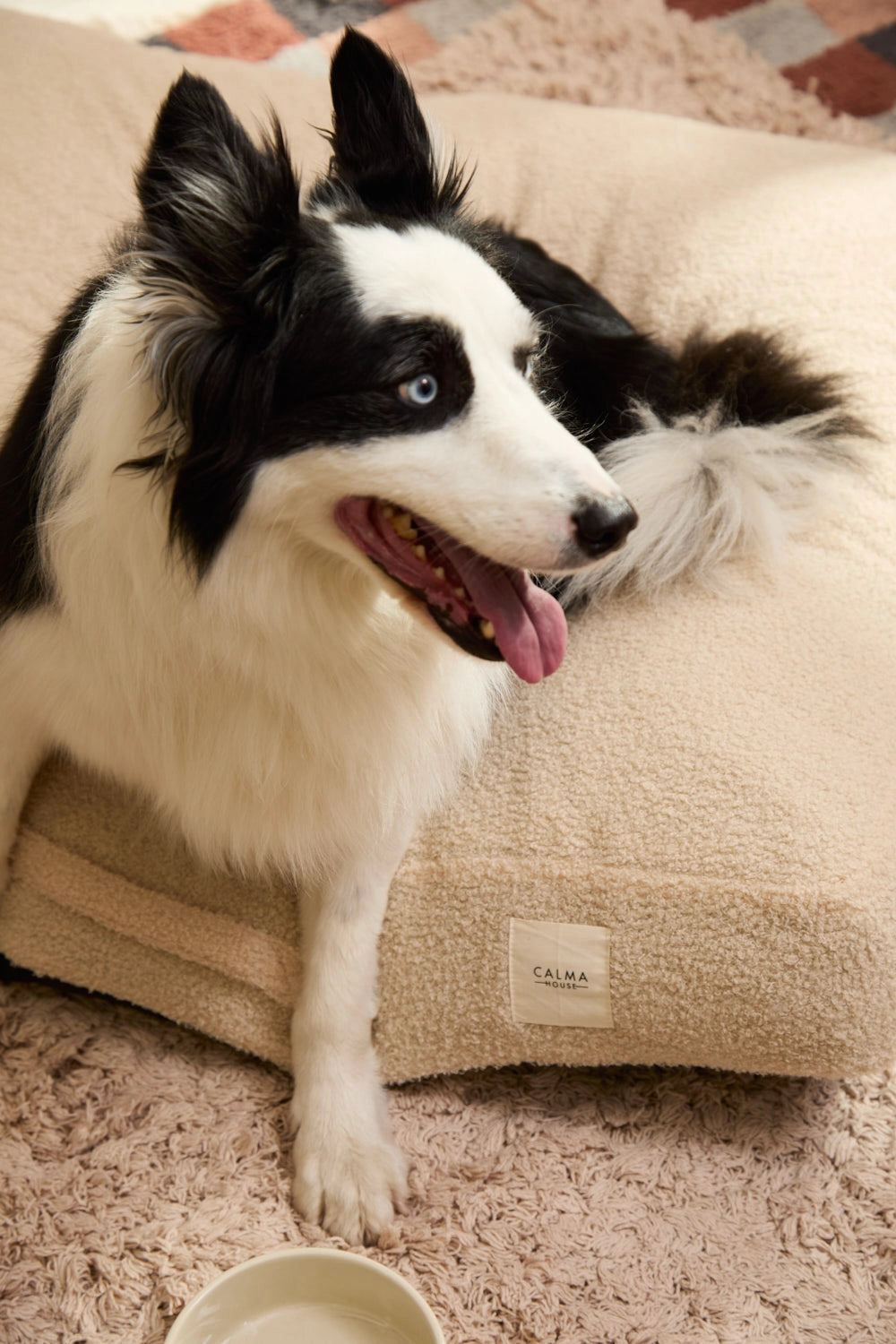 Cama para perro grande desenfundable detalle