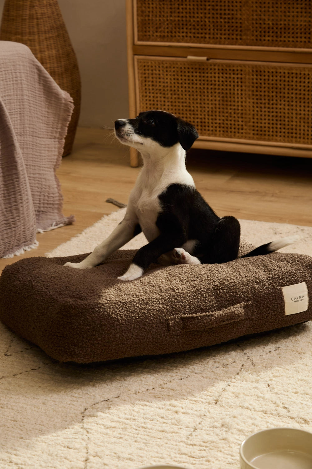 Cama para perro grande desenfundable Marrón
