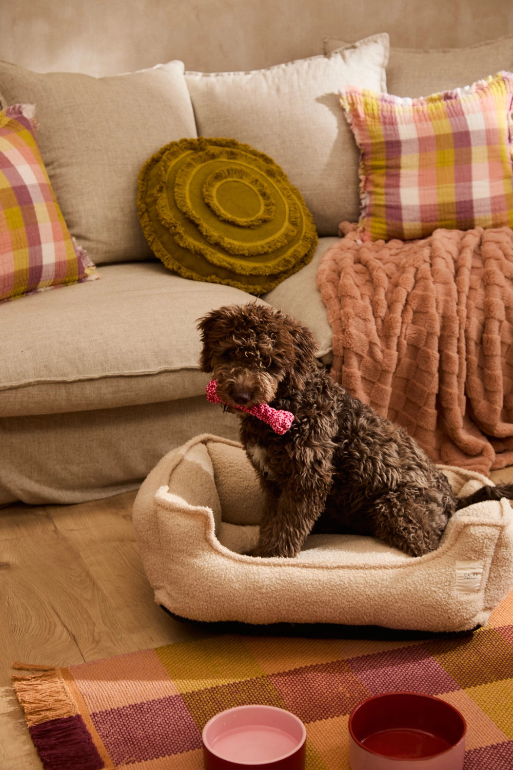 Cama para perro pequeño desenfundable en color crudo