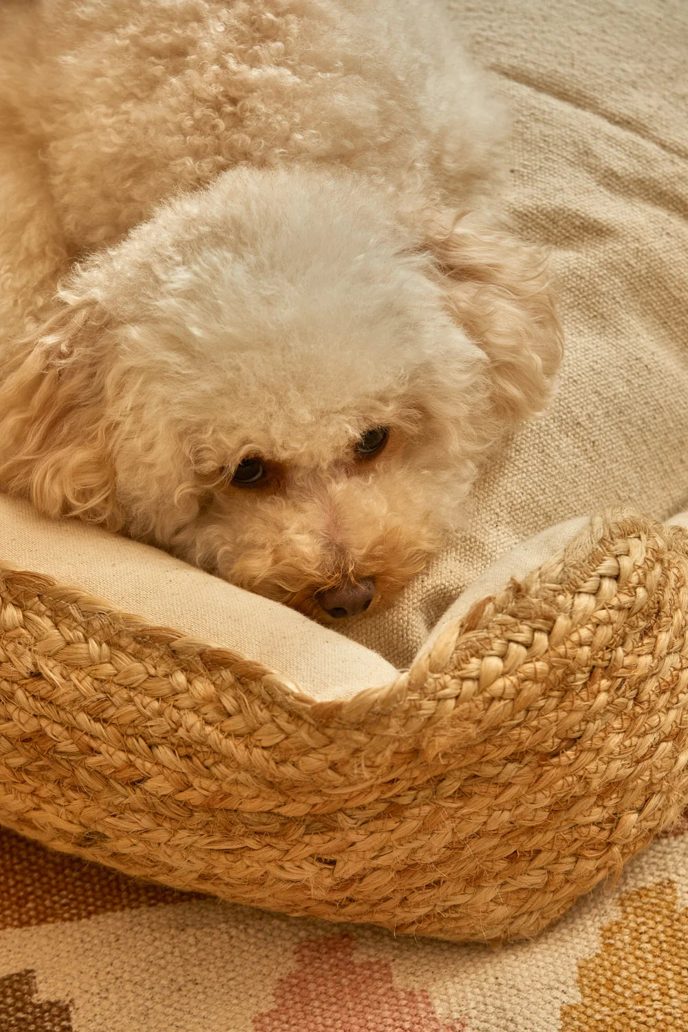 Cama para perros pequeños de yute y algodón canvas