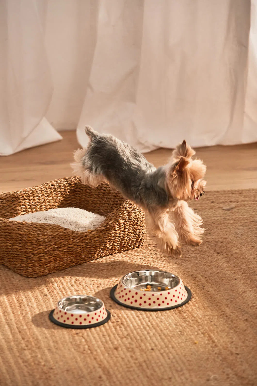 Cama para perro pequeño de junco de mar