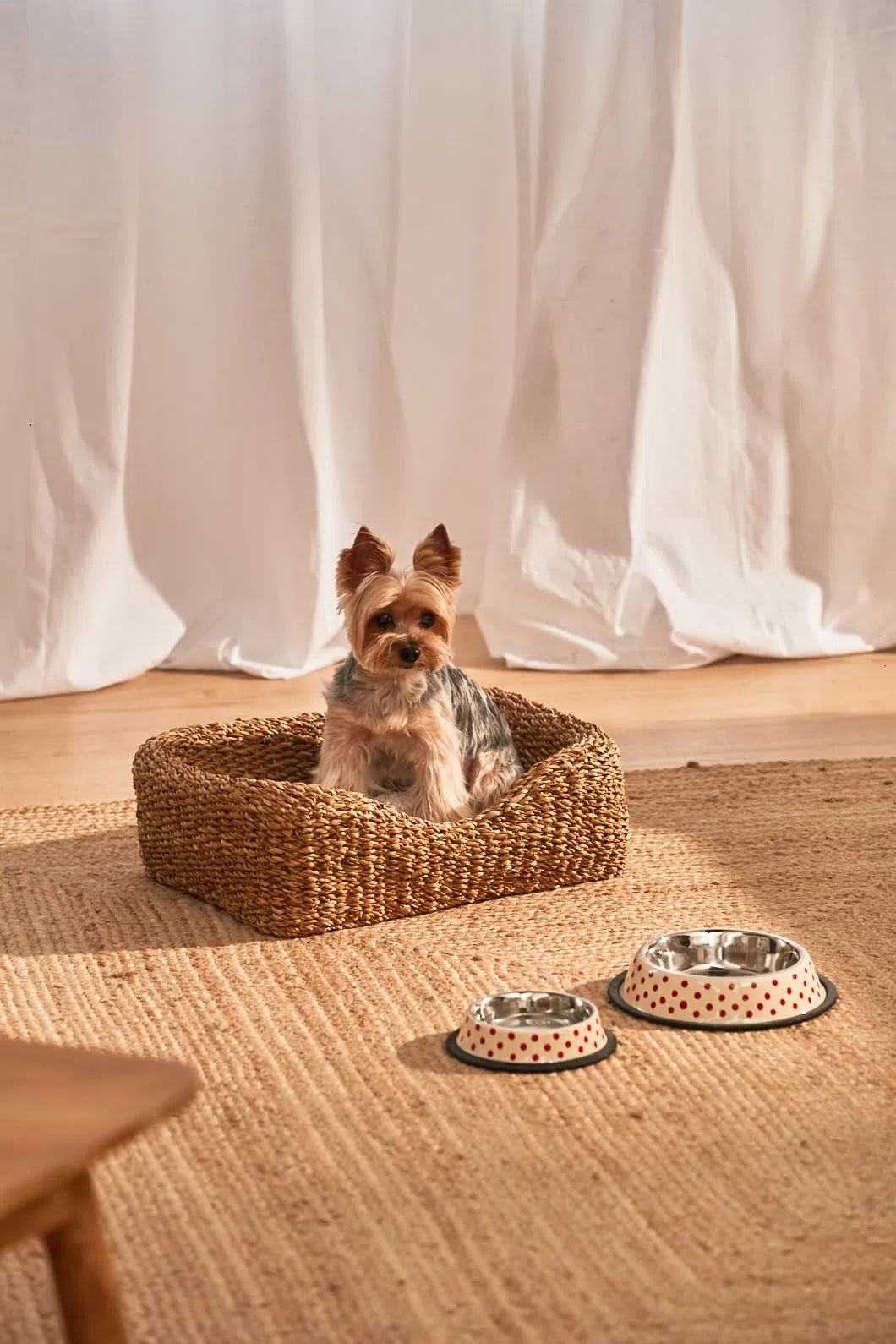 Cama para perro pequeño de junco de mar