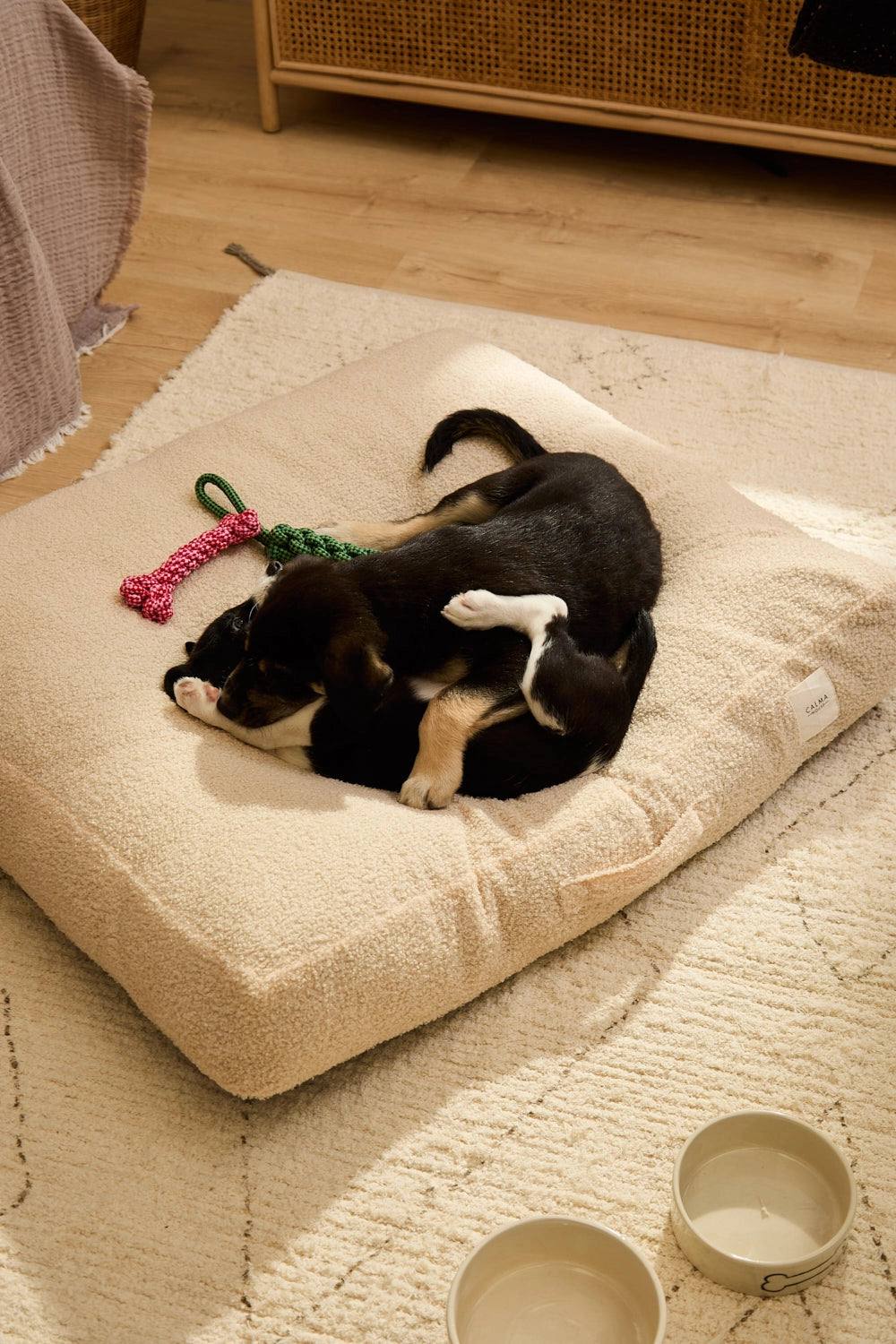Cama para perros pequeños y grandes desenfundable