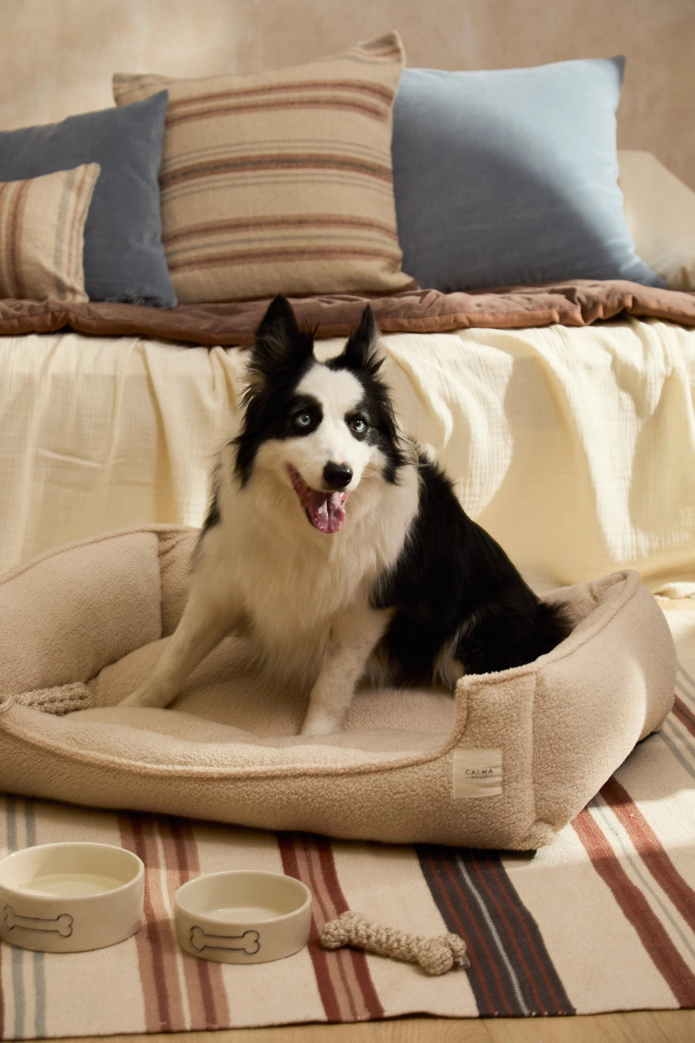 Cama para perro grande desenfundable color crudo