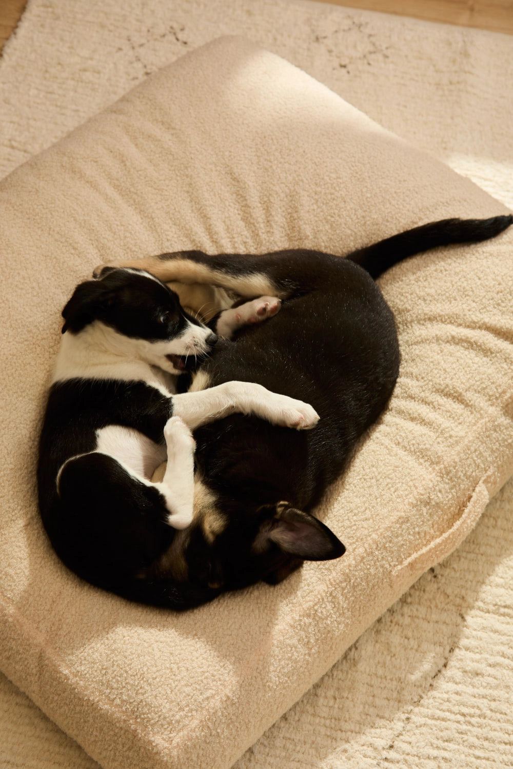 Cama para perros pequeños y grandes desenfundable