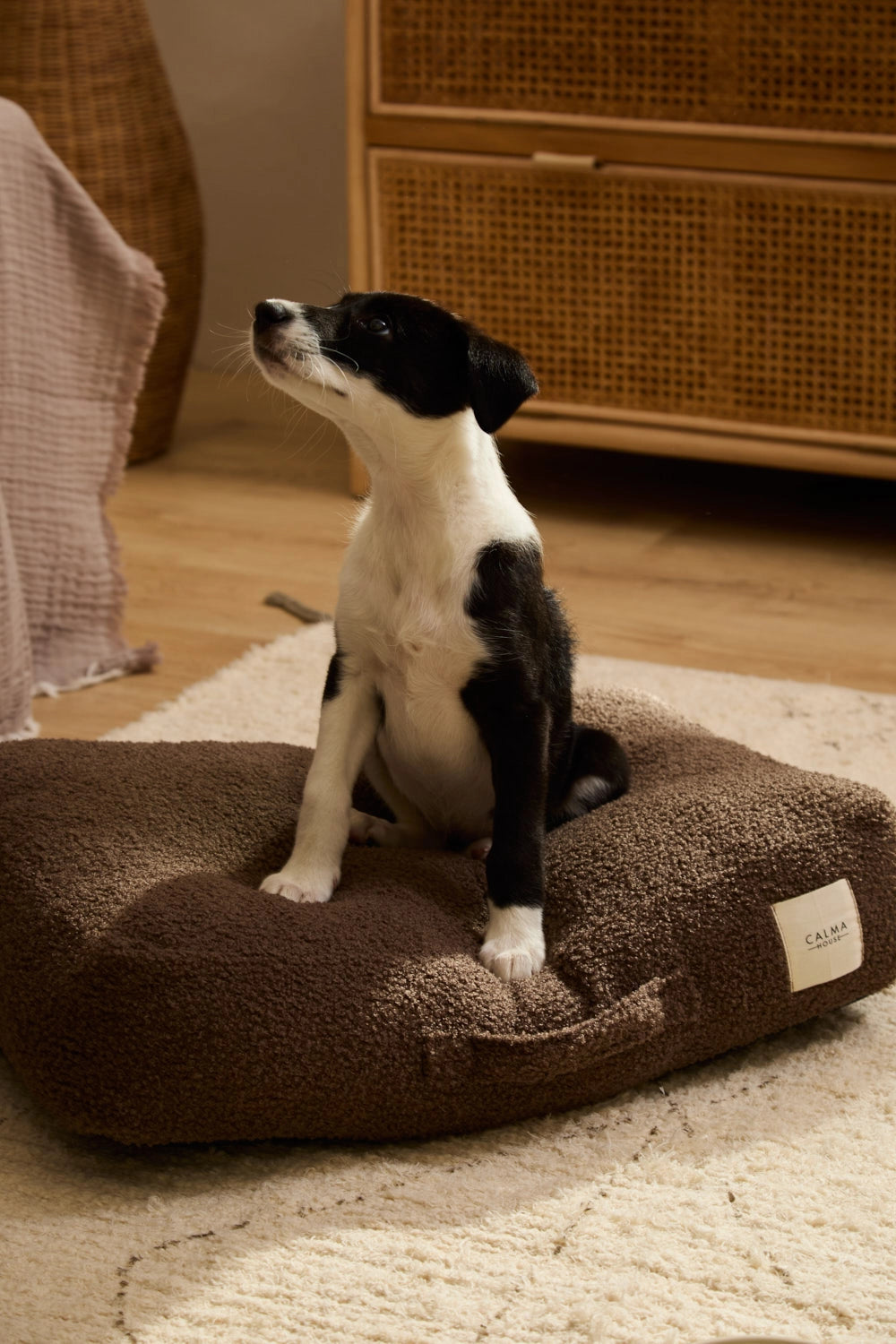 Cama para perro grande desenfundable Marrón