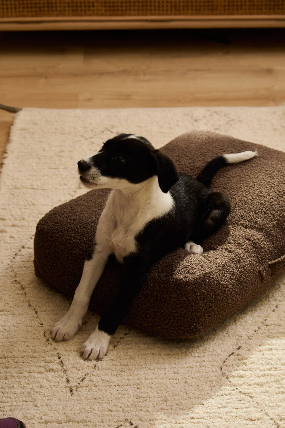 Cama para perro desenfundable Marrón