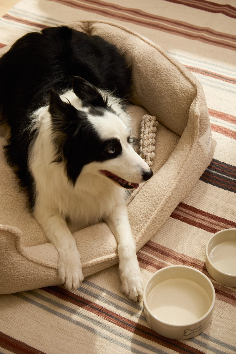 Cama para perro desenfundable en color crudo