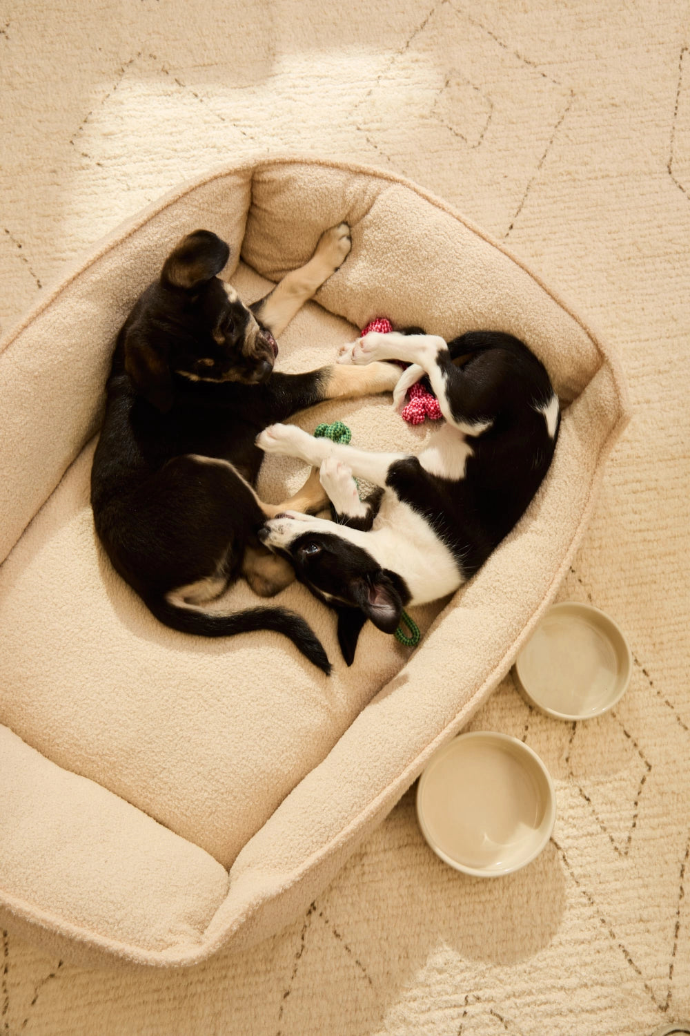 Cama para perros desenfundable en color crudo 