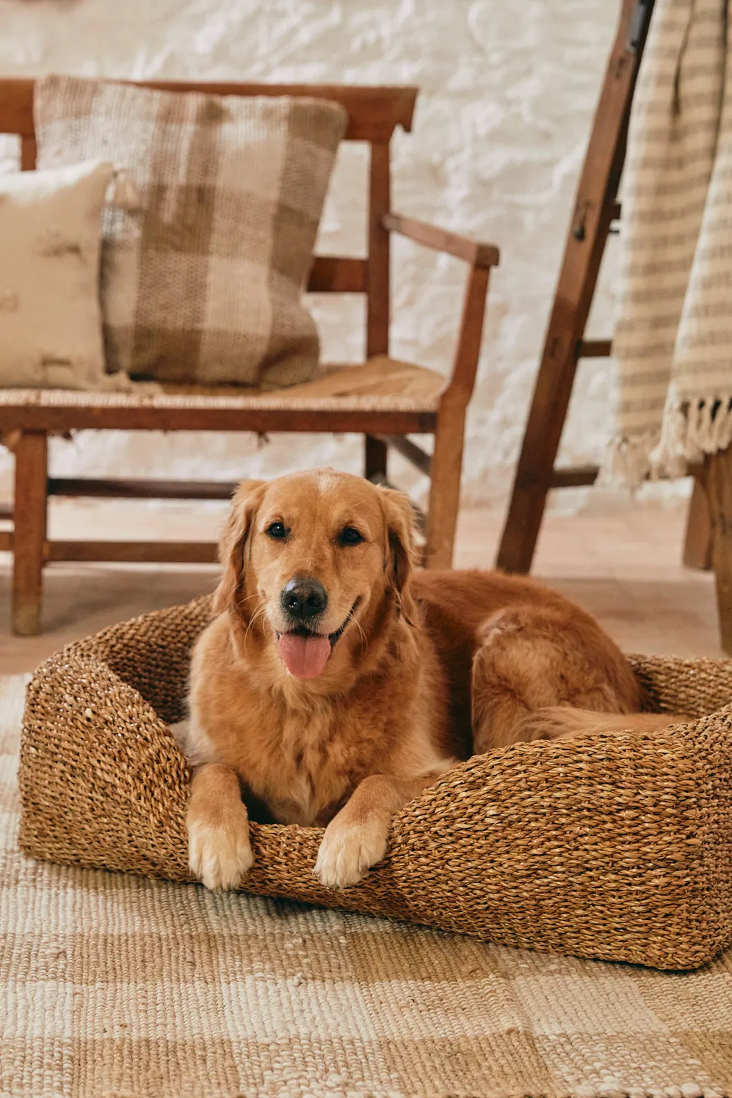 Cama para perro grande de junco de mar
