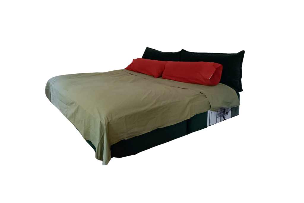 Sofa Cama 2 plazas Cómodo